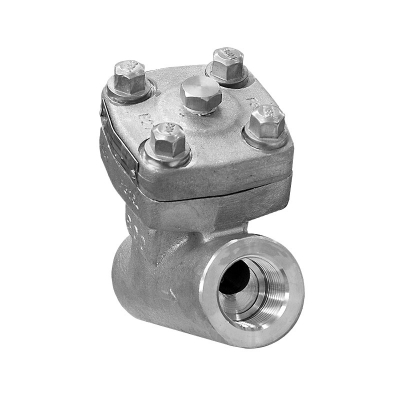 Y STRAINER - FORGED STAINLESS STEEL 316 - THREAD NPT - CLASS 800