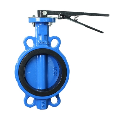 Van bướm kẹp gang theo tiêu chuẩn API609 với đĩa van phủ sơn phun