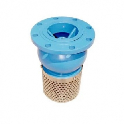 Rọ Bơm Mặt Bích PN10/PN16 | Flanged Foot Valve Gang Chịu Lực Cao