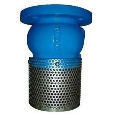 Rọ Bơm Gang PN16 Mặt Bích Tozen | Van Chân Gang Cast Iron Foot Valve